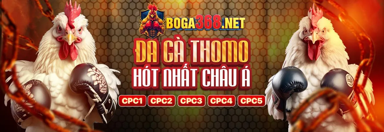 Dịch vụ hỗ trợ khách hàng chuyên nghiệp của Kèo Bóng Đá 55