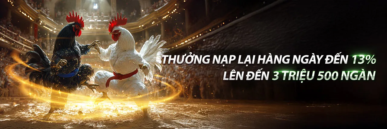 MCW19 Casino - Sòng bạc trực tuyến hàng đầu Việt Nam