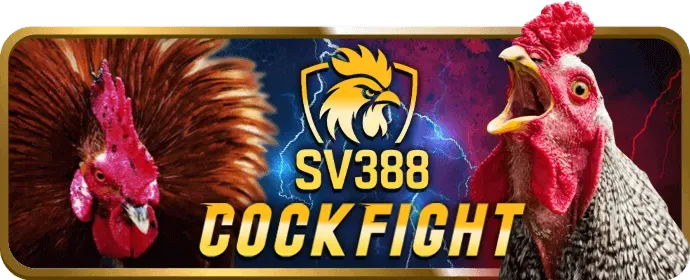 Lợi ích khi chơi game bài tại Kèo Bóng Đá 55