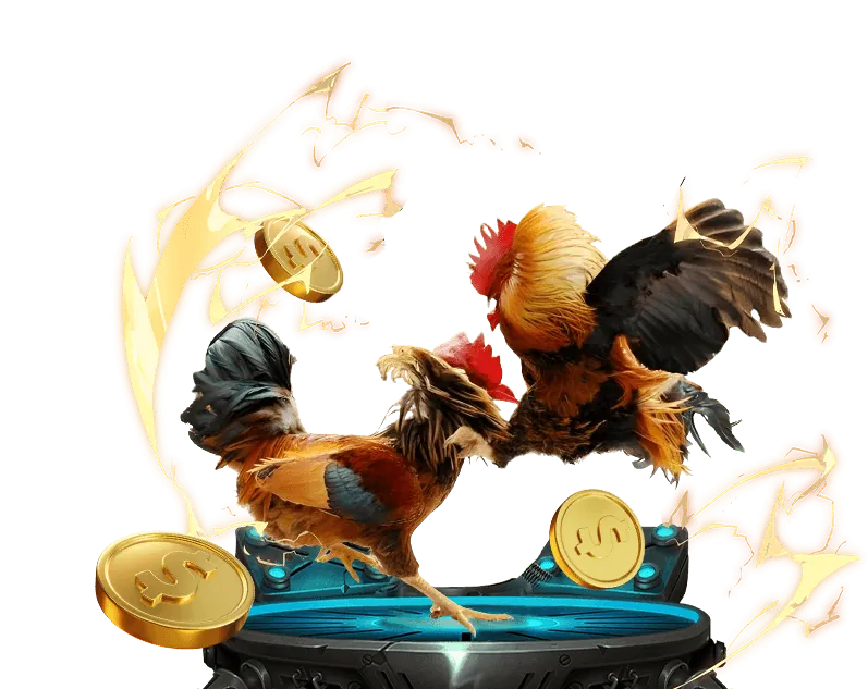 Quy tắc sòng bạc trực tiếp tại mcw19 casino