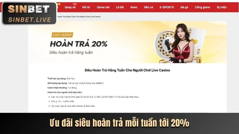 Ưu đãi độc quyền cho người dùng ứng dụng mcw19